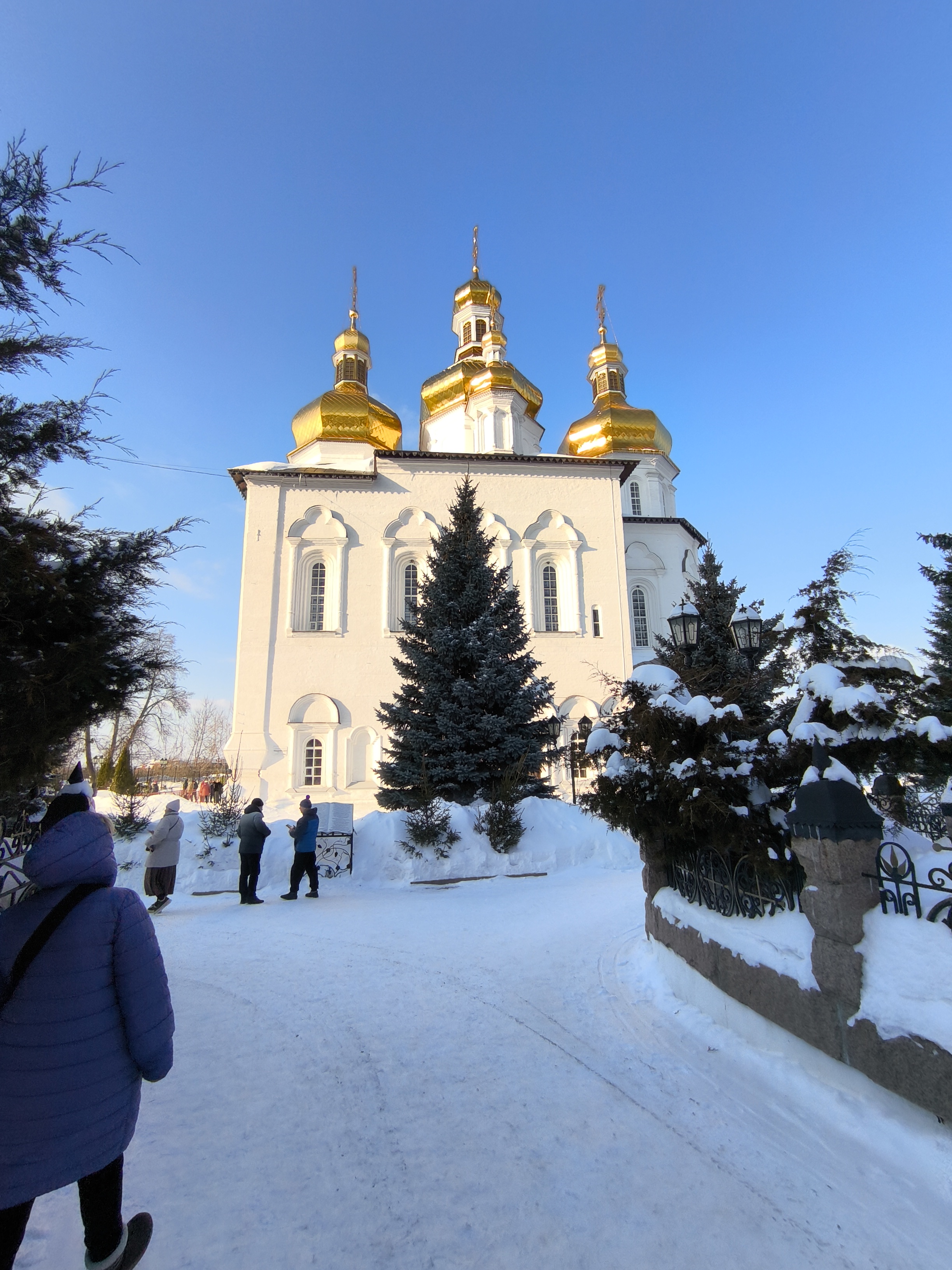 Без названия